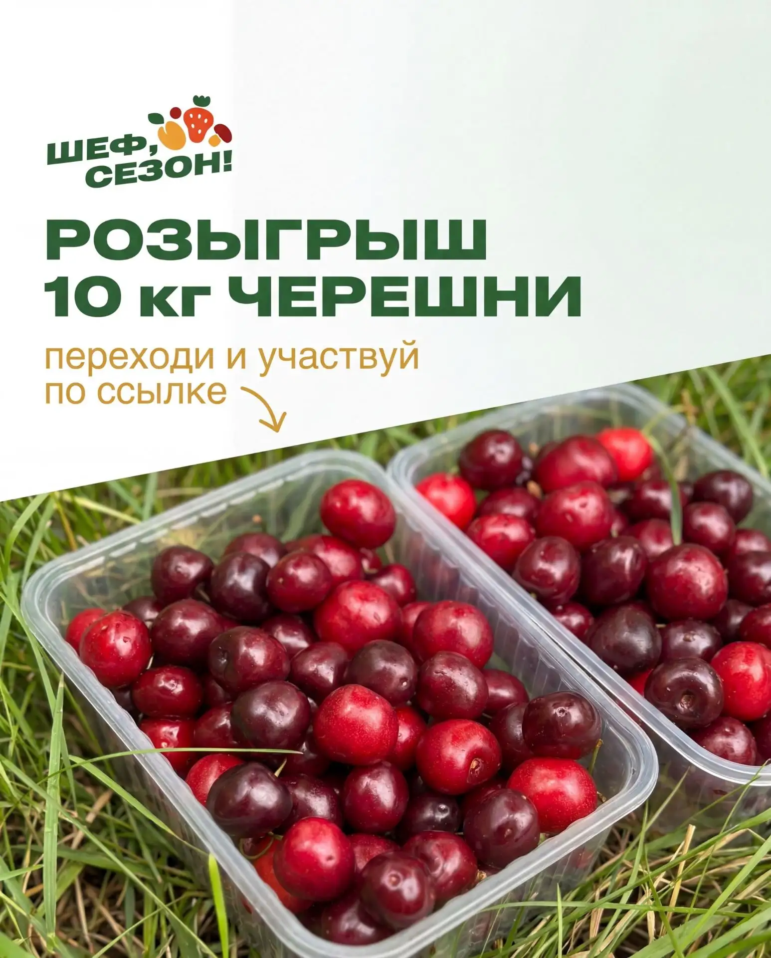 Сладкая новость для любителей черешни!