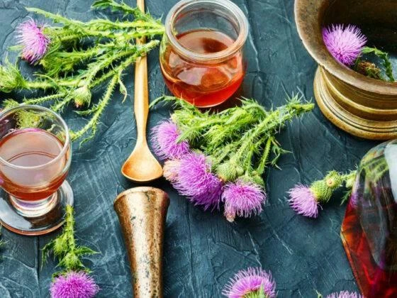 🌿 Чистим сосуды травами