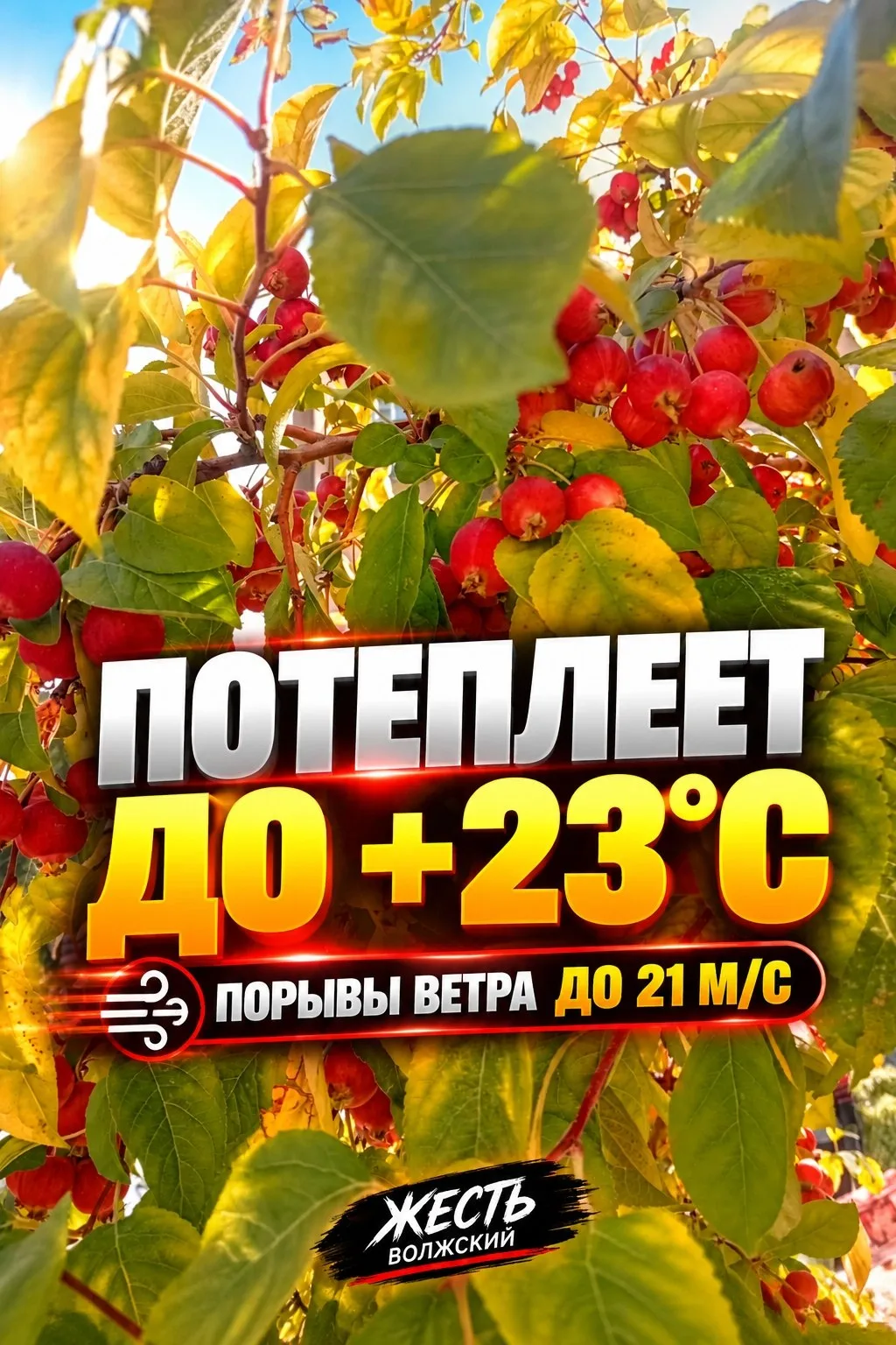 🌤 На следующей неделе в Волжском потеплеет до +23°C