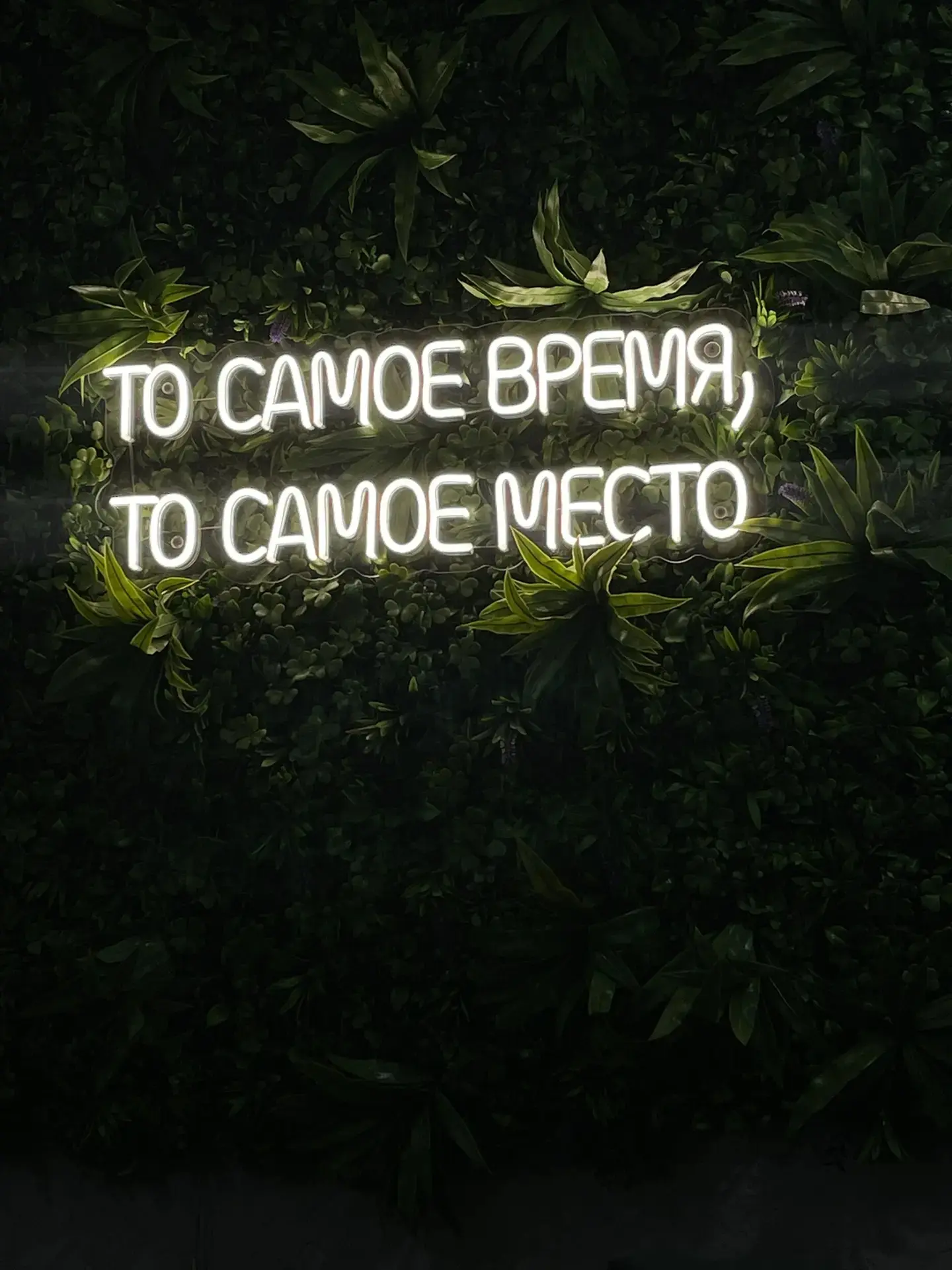 📸Отправил
Святослав

🙋‍♀️Земляки 

Присылайте 📸 
любимых мест
— где вы живёте
— отдыхаете
— побыв