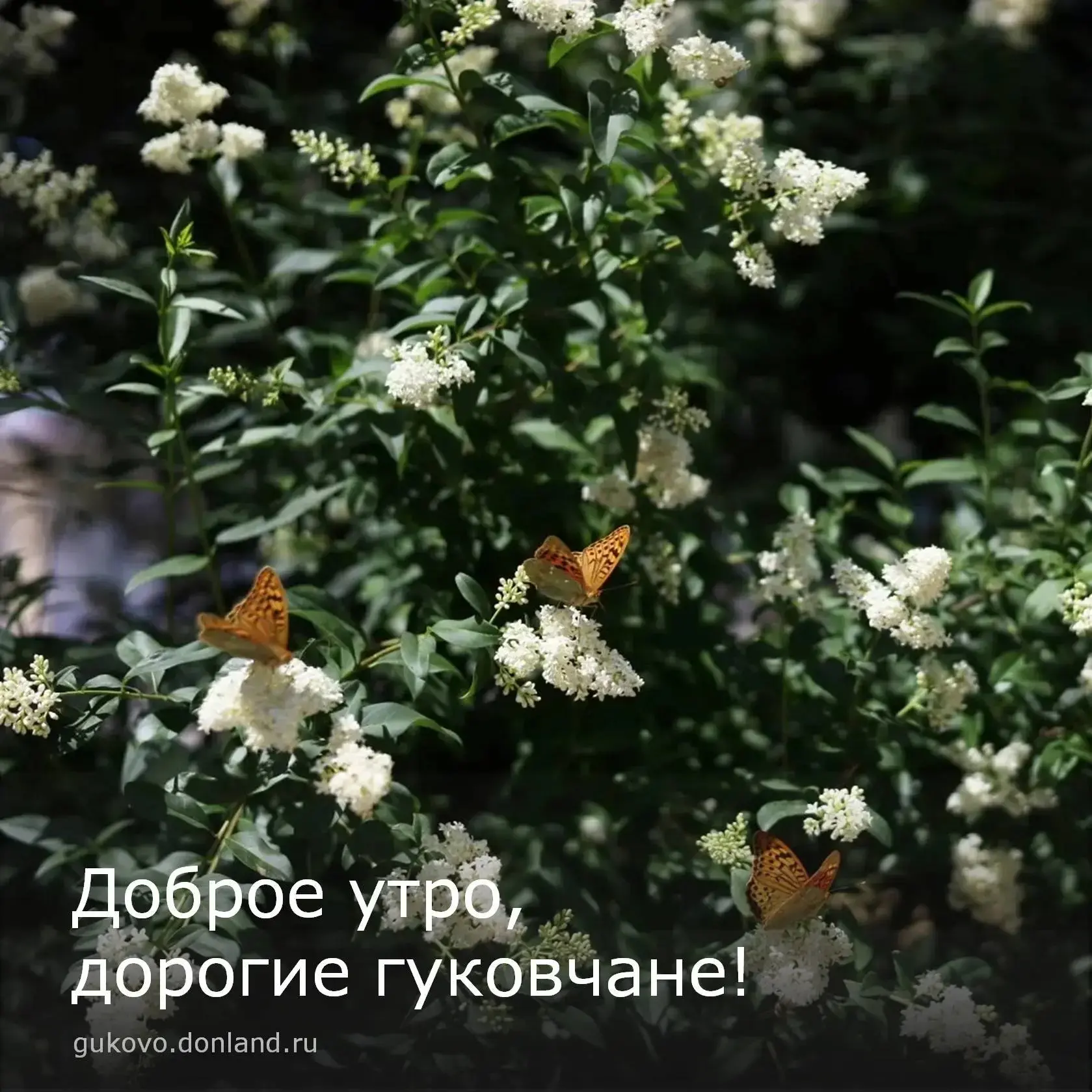 С добрым утром, гуковчане🌺

🗓На календаре 15 июня, понедельник.

По прогнозам синоптиков сегодня в