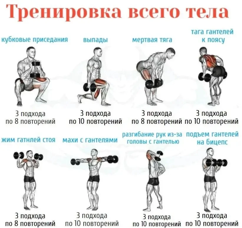 Тренировка всего тела 👏🏼