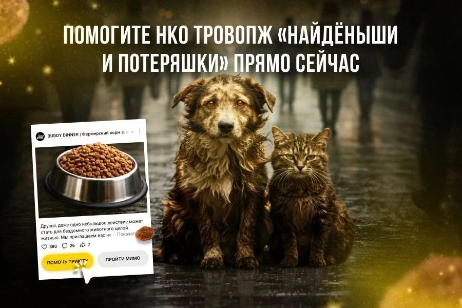 Через 6 часов заканчивается "корзина помощи приюту Найденыши и потеряшки". На передержк...