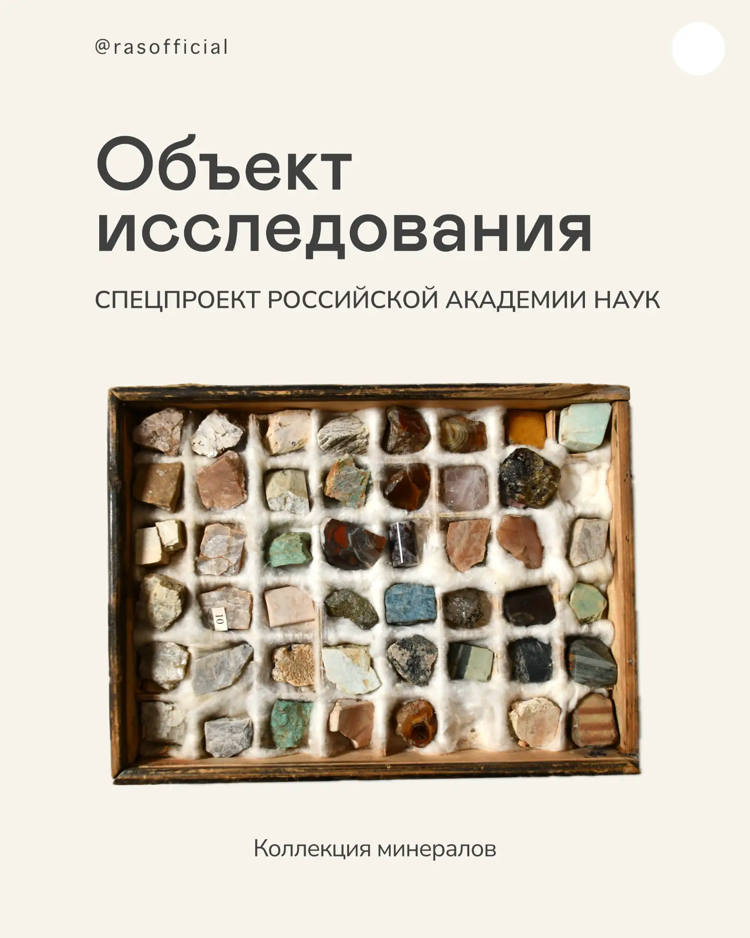 Коллекцию минералов собрал член-корреспондент АН СССР Алексей Андреевич Ляпунов