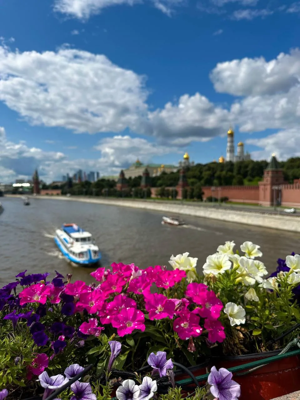 Друзья, всем привет!👋