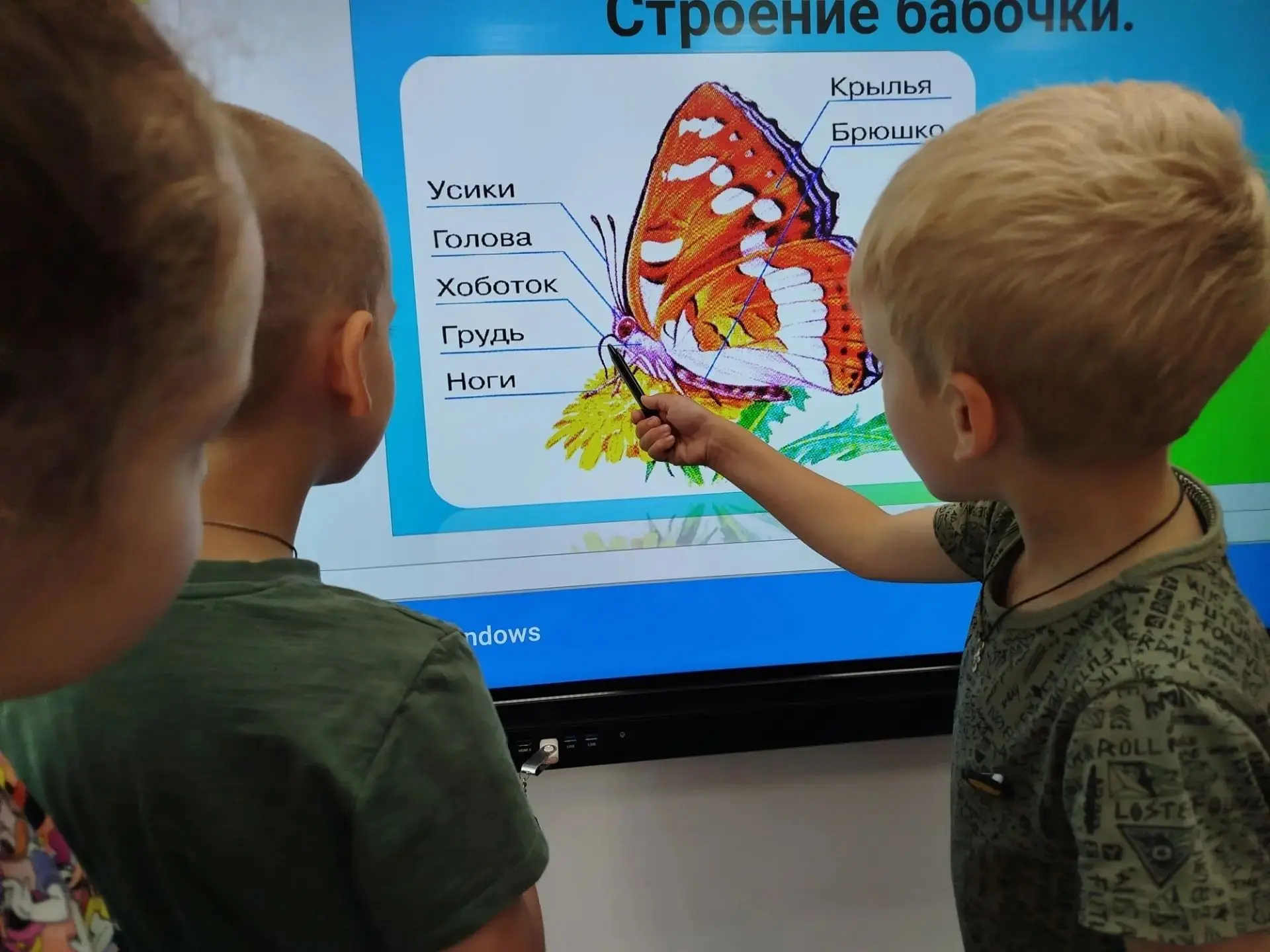 А вы знаете цветы небывалой красоты: могут лепестки сложить и мгновенно в воздух взмыть. 🦋На нашем 