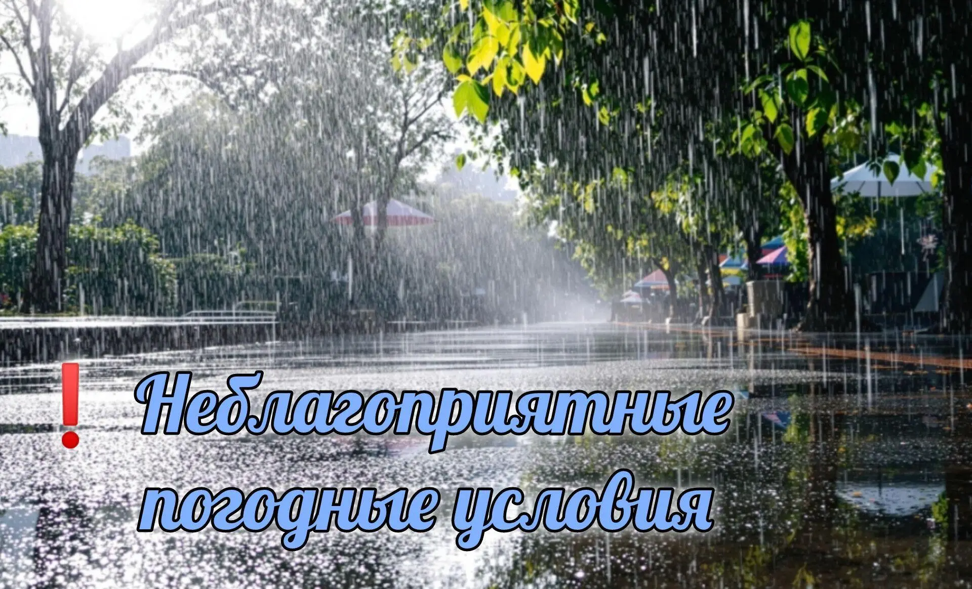16 июня утром и днем местами в западных, северо-западных, центральных и южных районах, ...