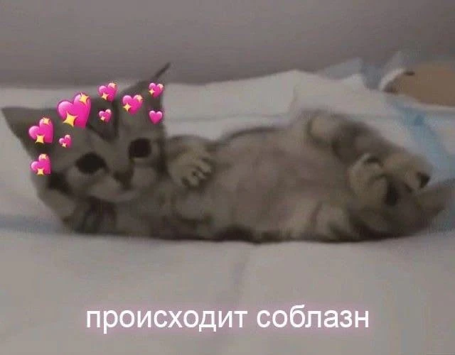 🔞 Весы, Скорпионы и Раки названы самыми сексуальными жёнами, — астрологи