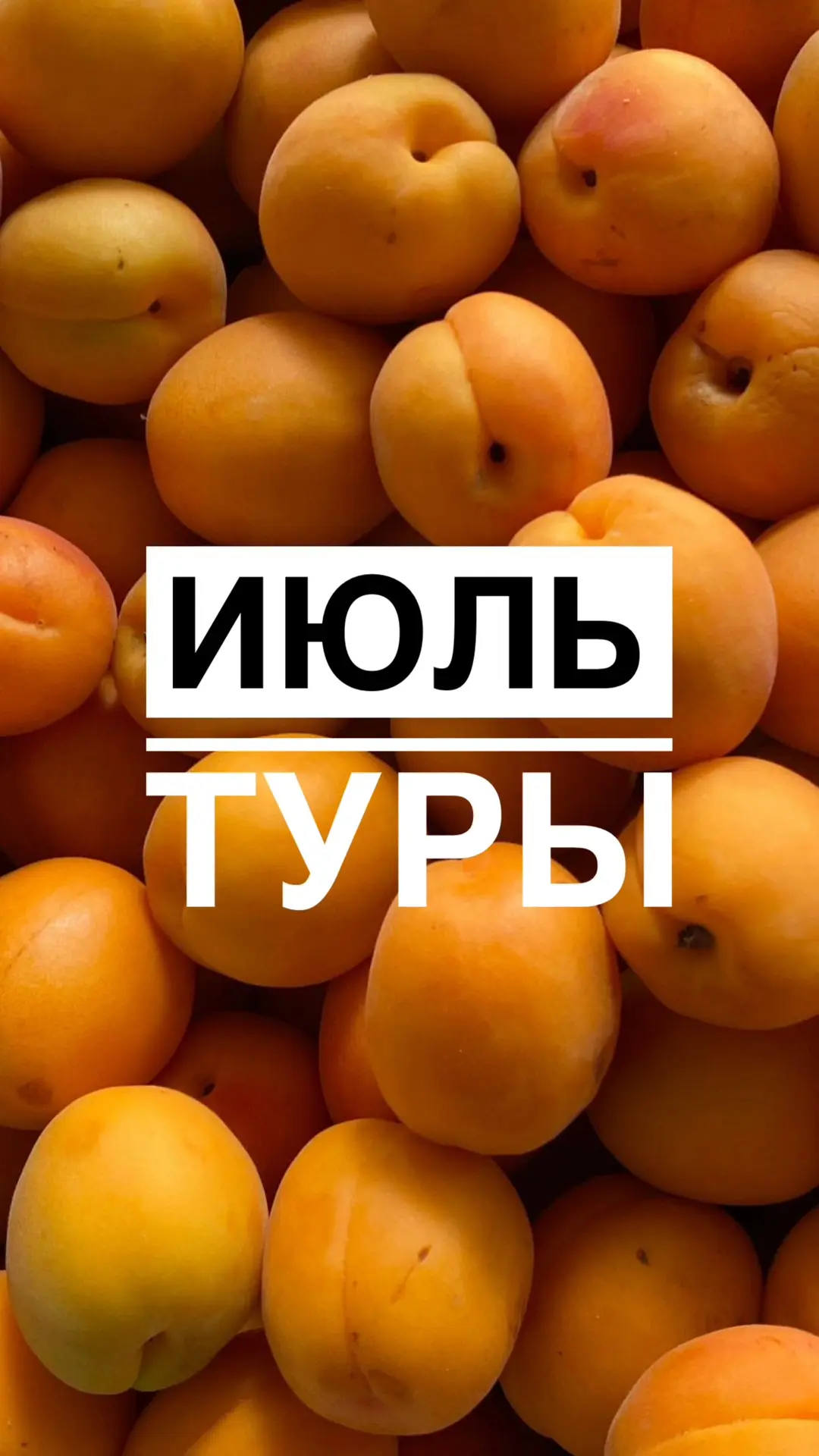 ТУРЫ в ИЮЛЕ☀️
4 ИЮЛЯ и 26 ИЮЛЯ
🦁МОСКОВСКИЙ ЗООПАРК + 🛳️ТЕПЛОХОДНАЯ ПРОГУЛКА
6900

4 ИЮЛЯ
🌸 Паломн