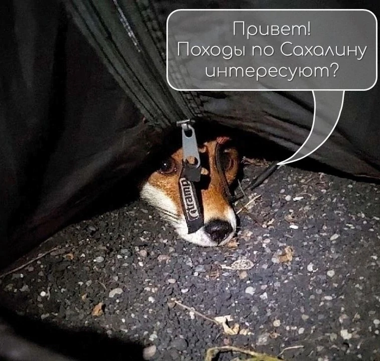 ⚡ Приглашаем в походы по острову Сахалин и бухтам Охотского моря! 
 
💥 Сахалин восхищает удивительн