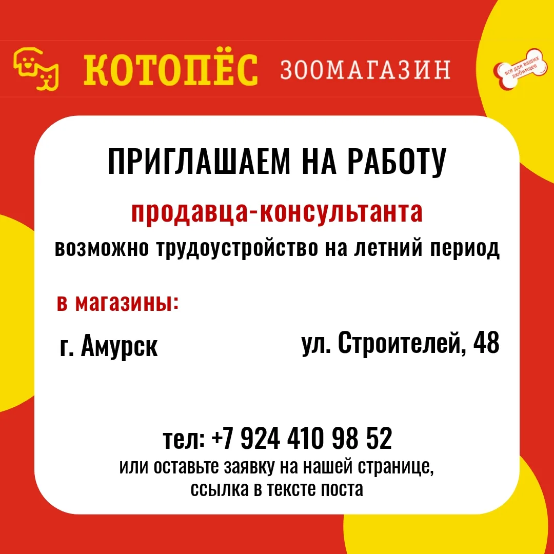Приглашаем на работу: