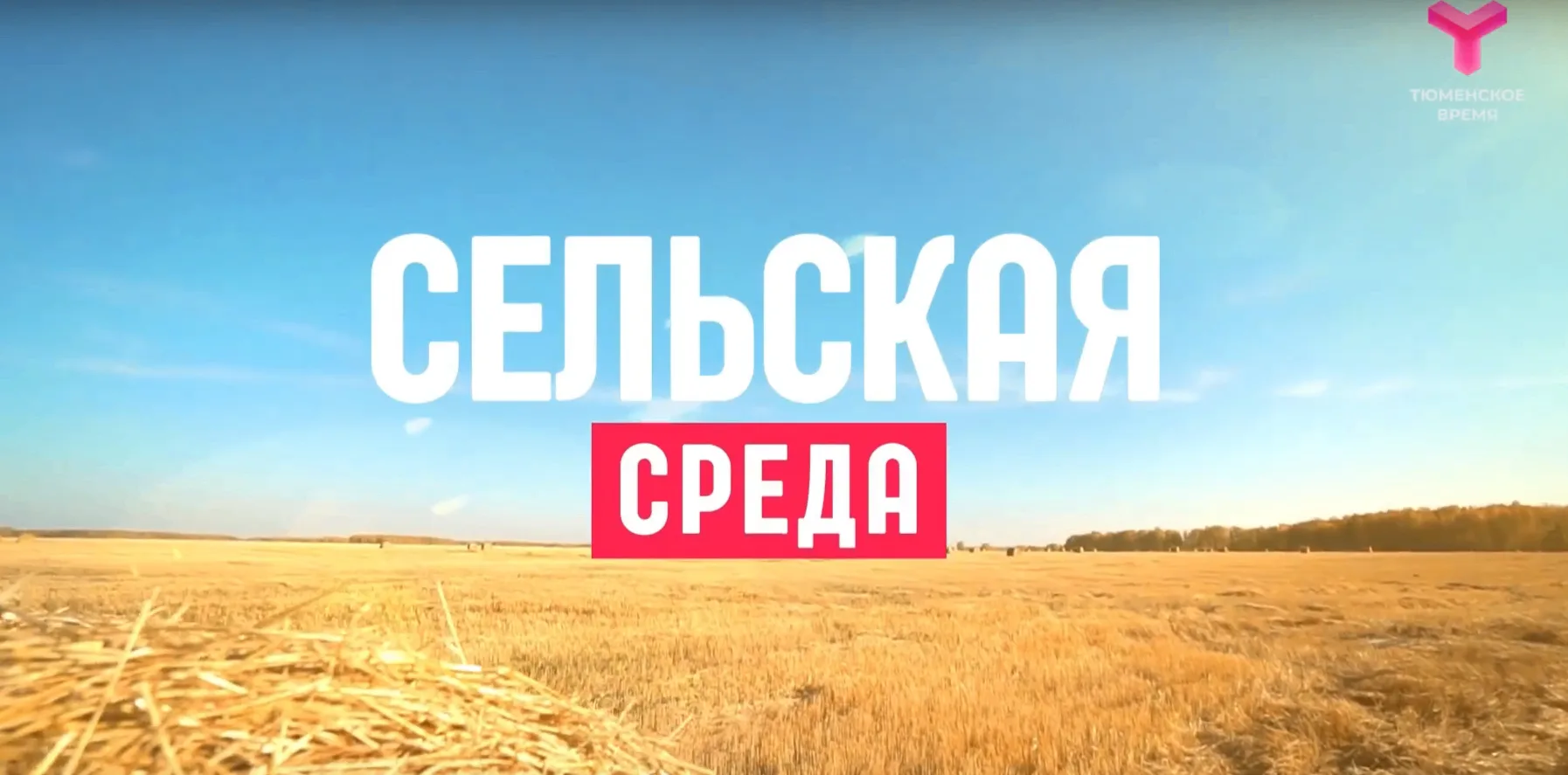 О редкой бобовой культуре, выращиваемой на тюменских полях, новом созыве Общественного ...