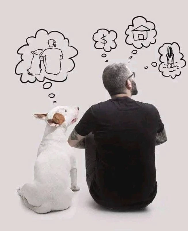 ⚡фотоюмор ⚡️breedsinfo ⚡️dogmem