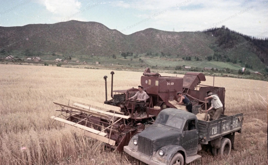 Уборка урожая овса в колхозе им. Ульянова. Углегорский район. 1955 г. Автор съемки 
Г. Зельма. ГИАСО