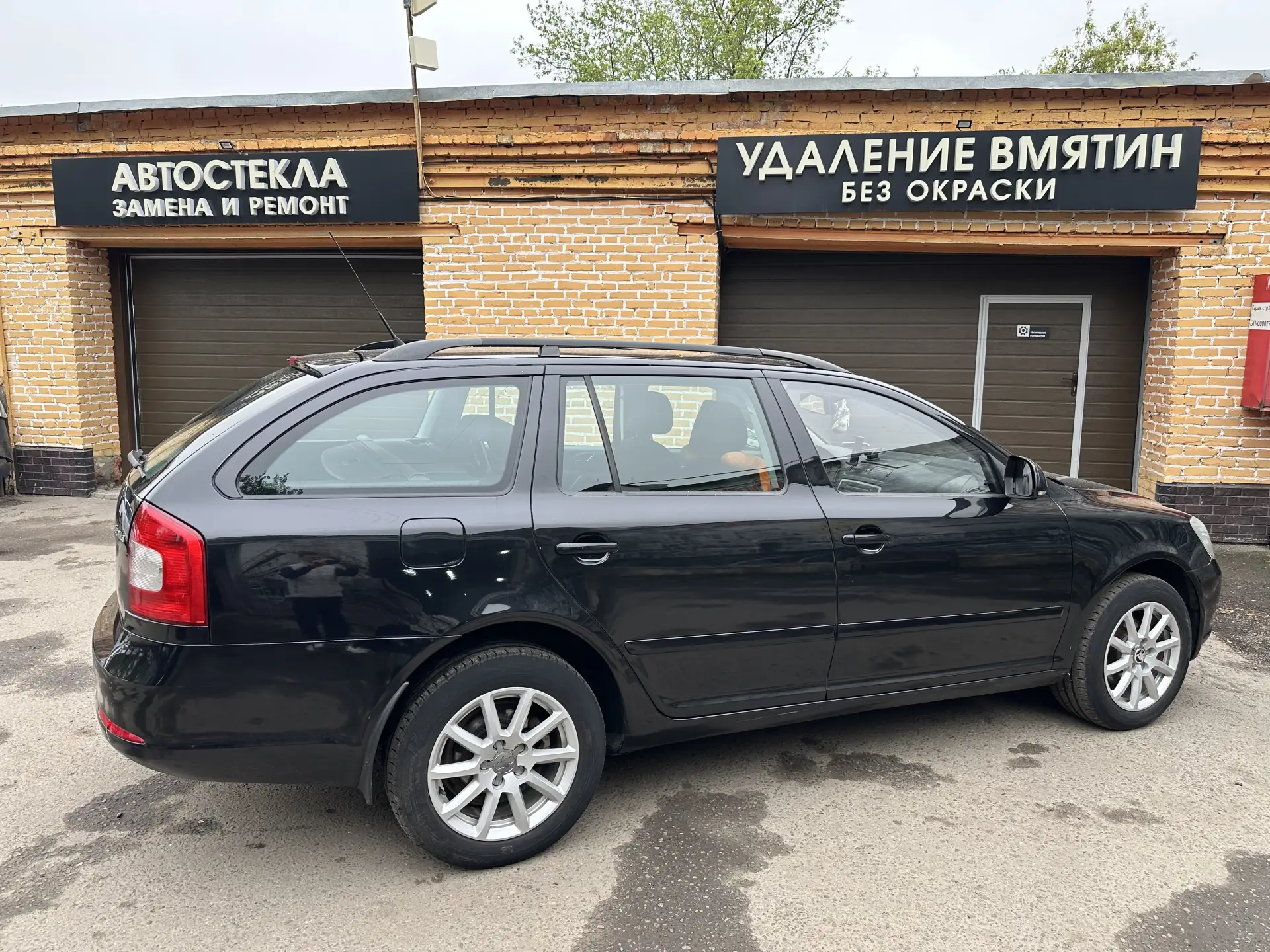 Тонировка задней полусферы
