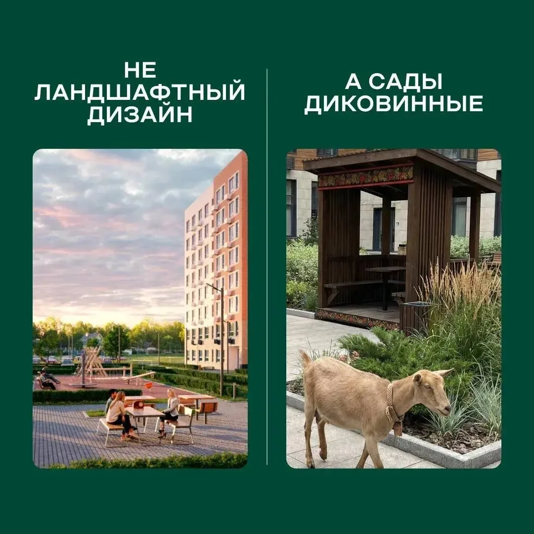 Всех приветствую !