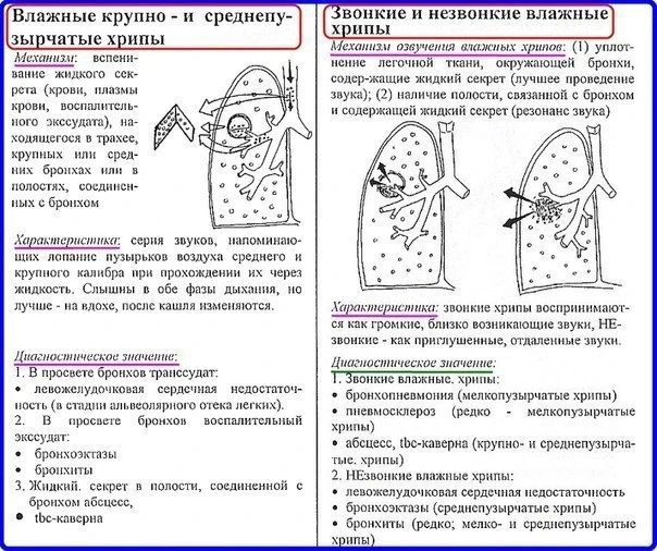 Аускультация легких