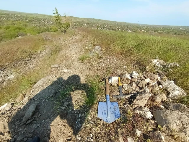 Сколь не удивительна живая природа, как не приятны глазам красивые наши пейзажи из скал, неба, а в д