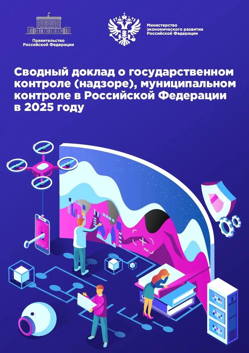 Доклад о госконтроле-2025