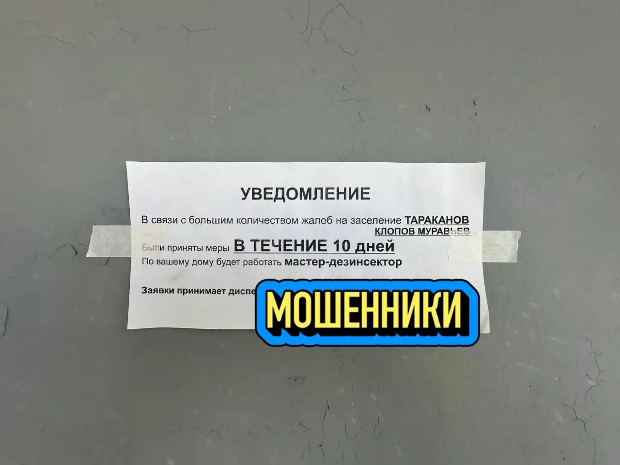ОБЪЯВЛЕНИЕ‼️