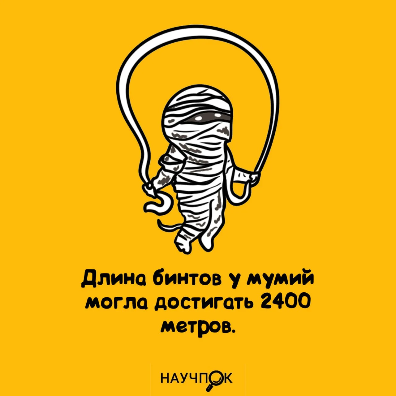 Научпок | Подписаться