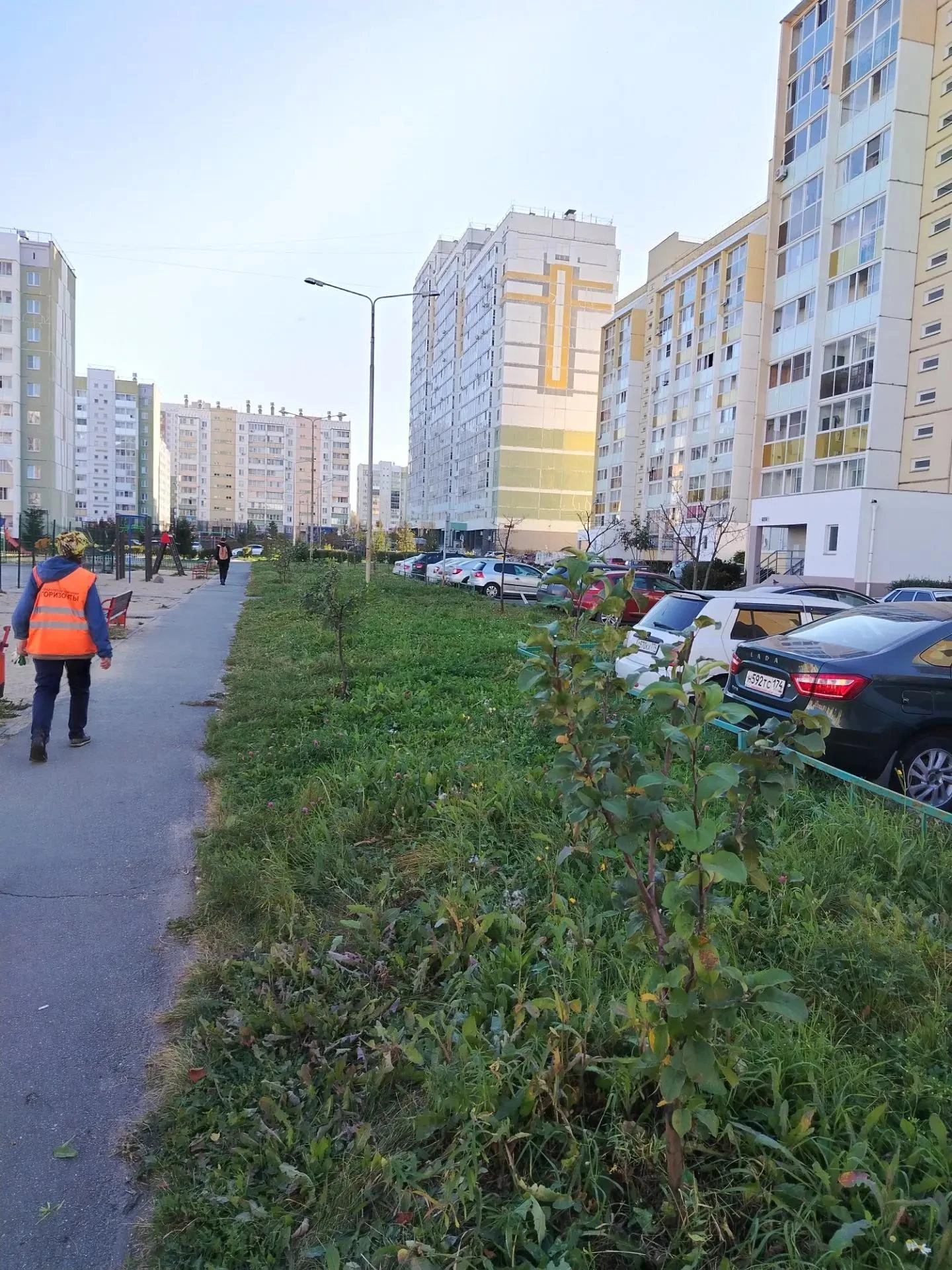 🌳 Сотрудниками УК " Горизонты" выполнена подстрижка кустарников по адресам  ул. П. Сто...