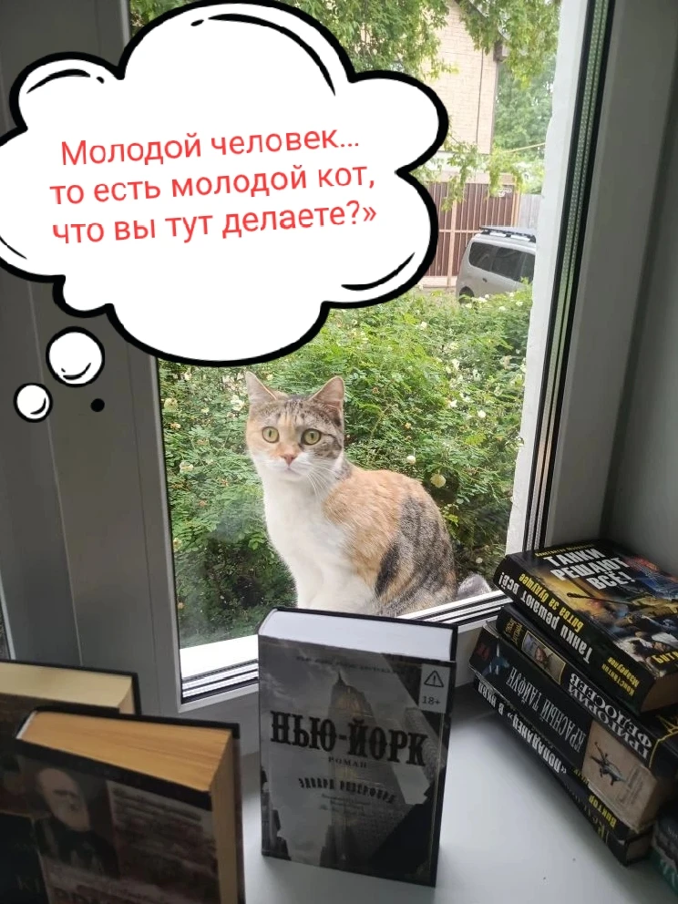 #Книжныехвостатыеистории