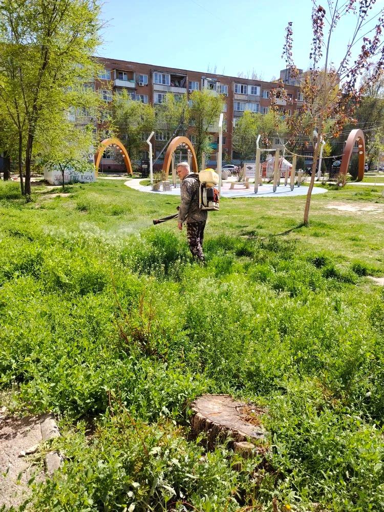 К новости «🌿 Уют начинается с чистого двора!»