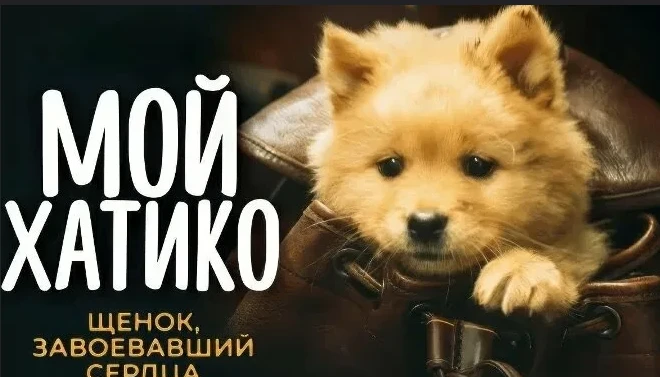 Мой Хатико