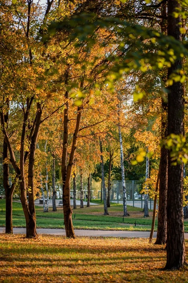 🍁СРЕДА☀️