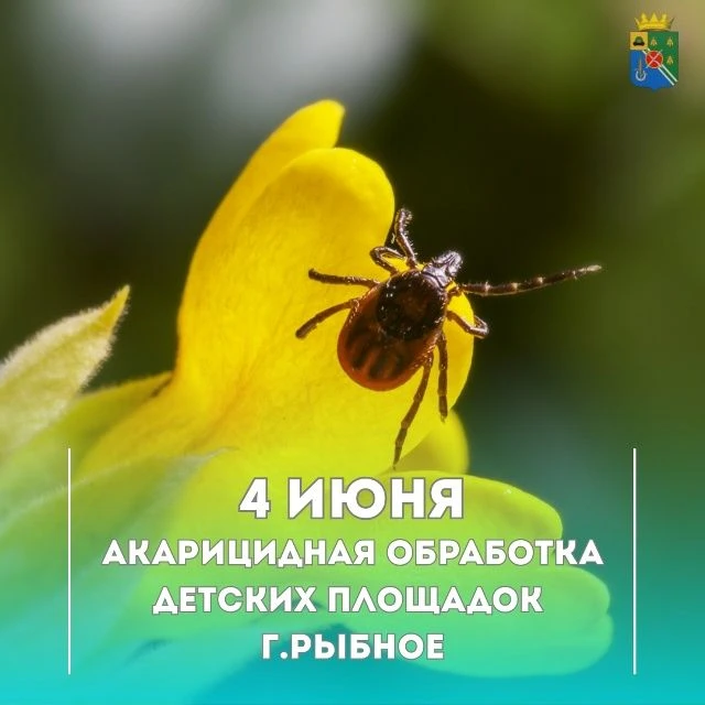 Уважаемые жители города Рыбное!