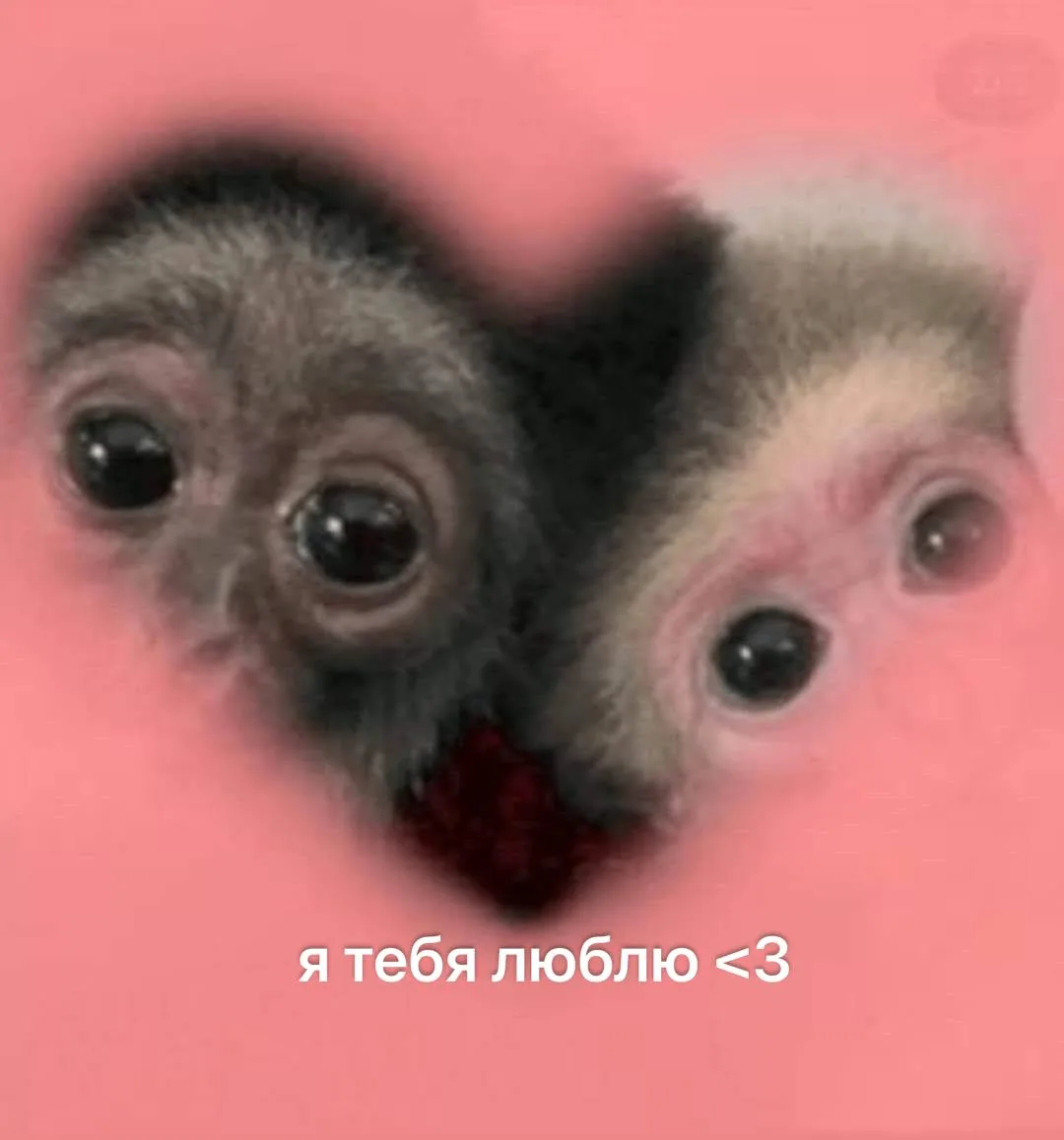 *пересылай своей любимке