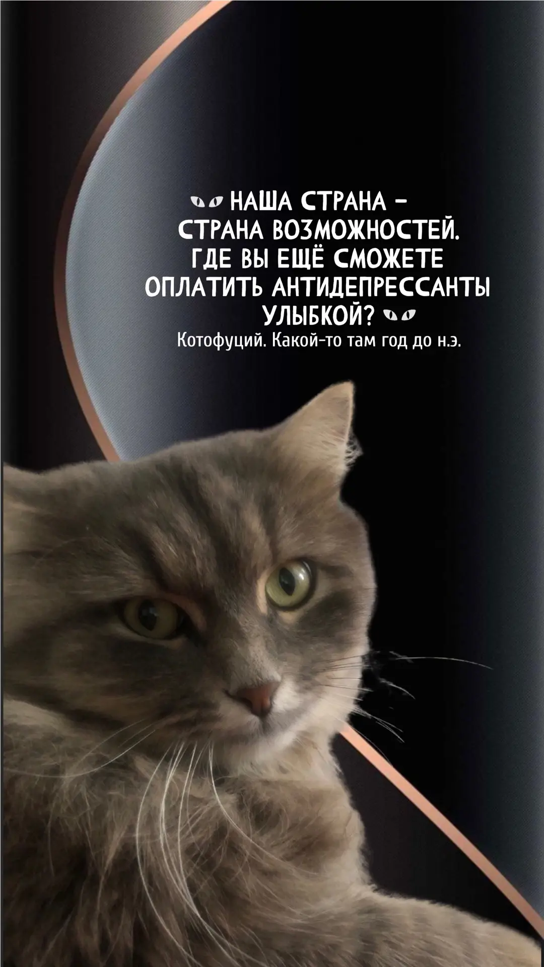 #котофуций #юмор

🎞️ КАНАЛ С ФОНАМИ
💳 ДОНАТЫ НА РАЗВИТИЕ КАНАЛА