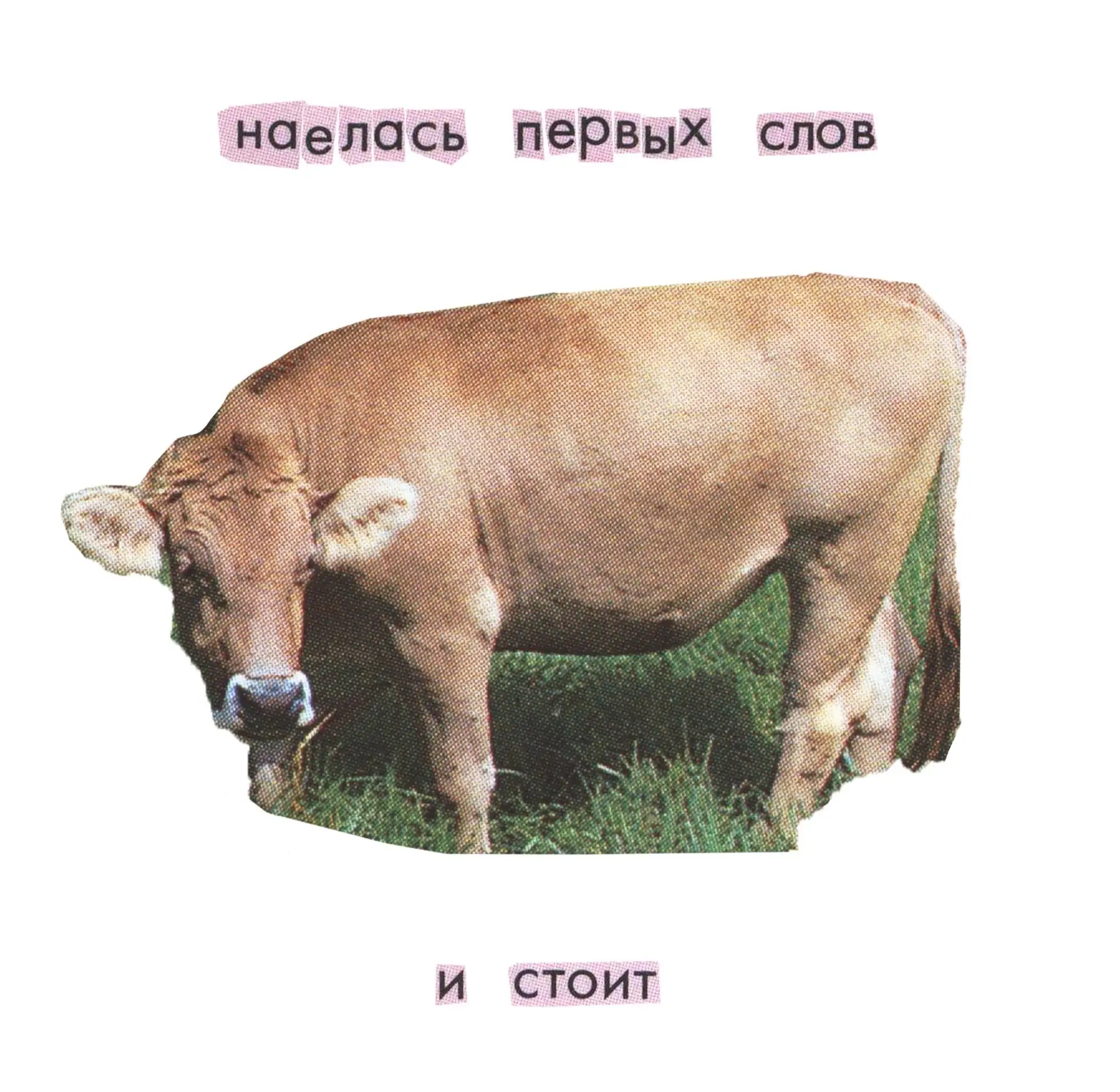 Чтобы вы понимали уровень моего юмора🤪