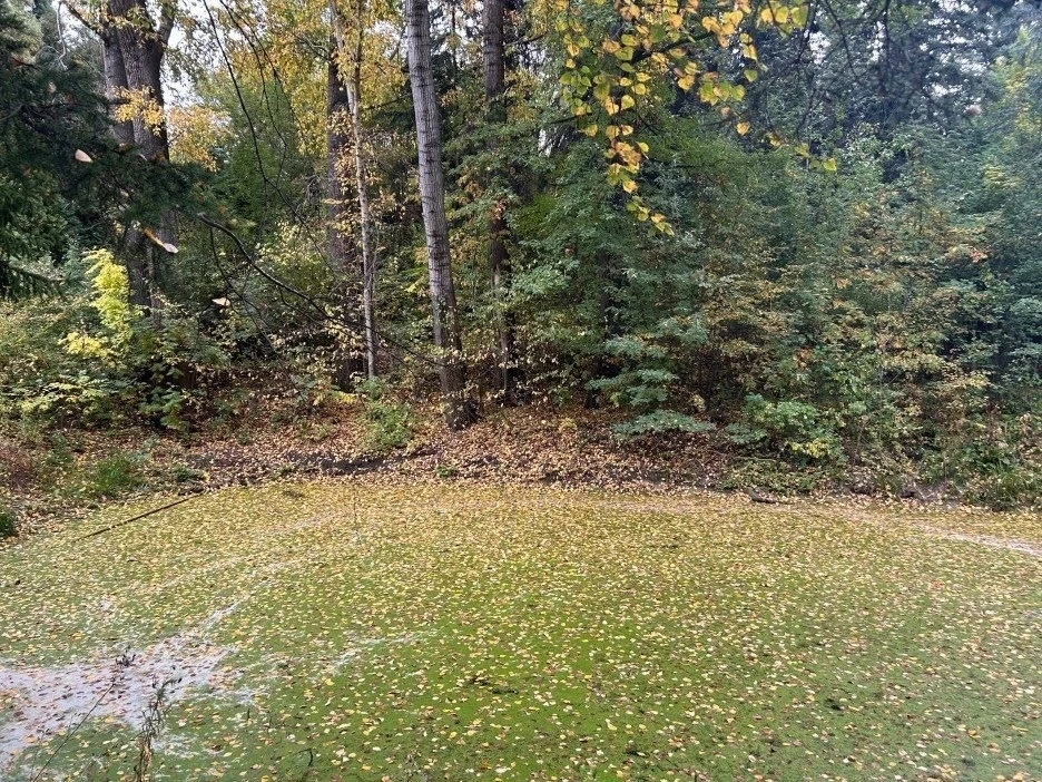 В барнаульском дендрарии — осенние краски🍂