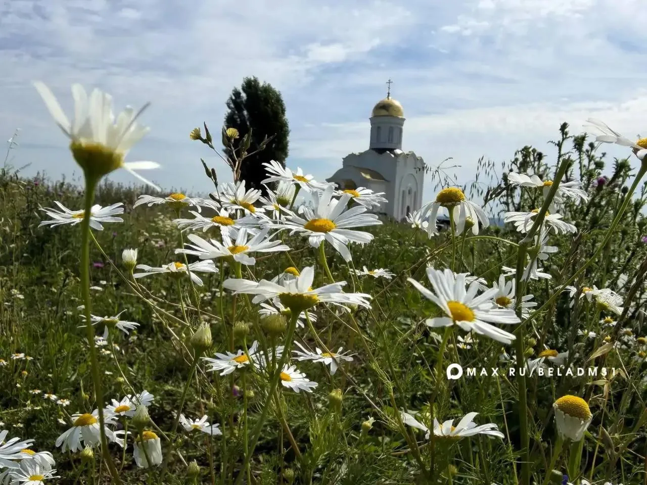 Изображение 1 к публикации «Белгород»