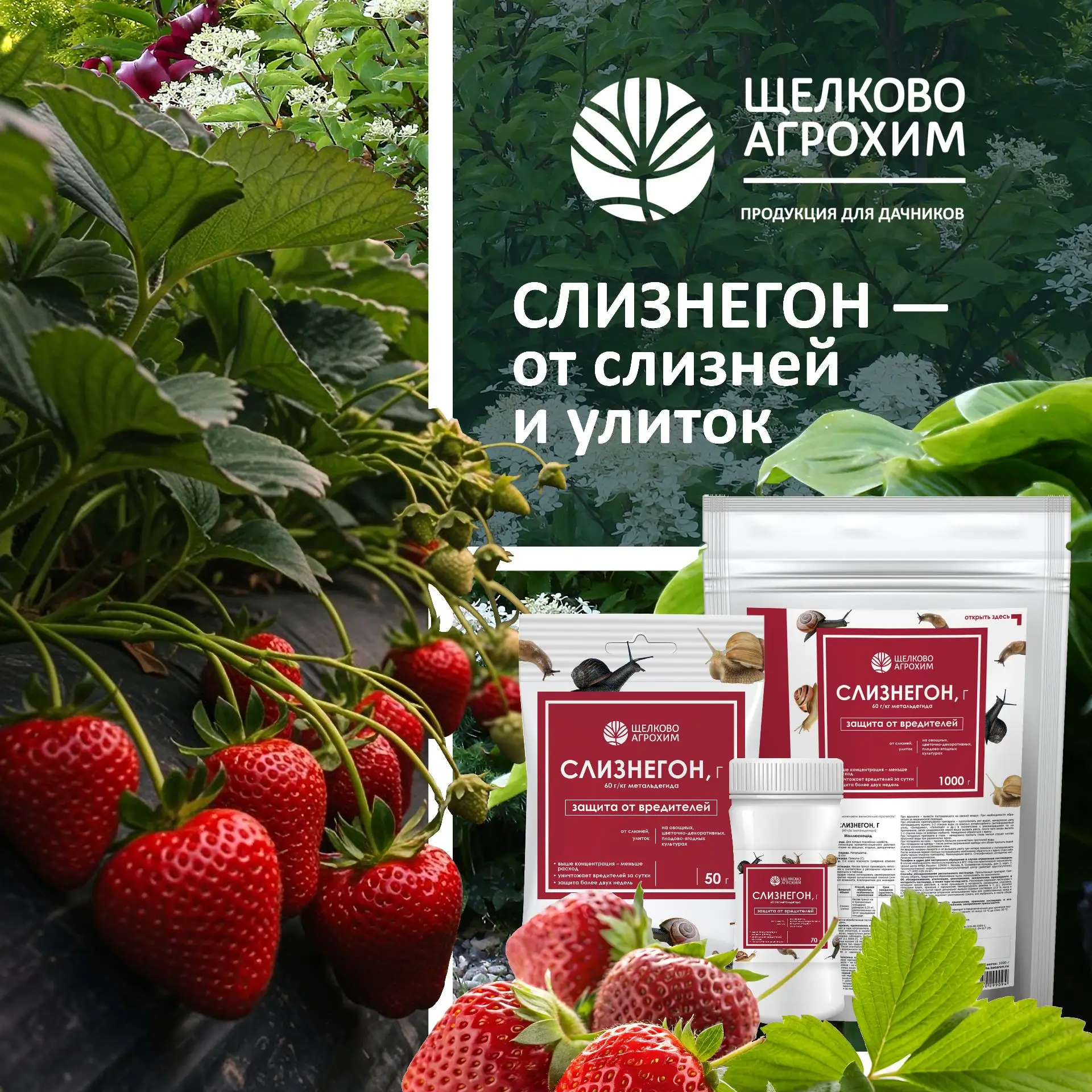 🐌 Слизни и улитки больше не проблема!