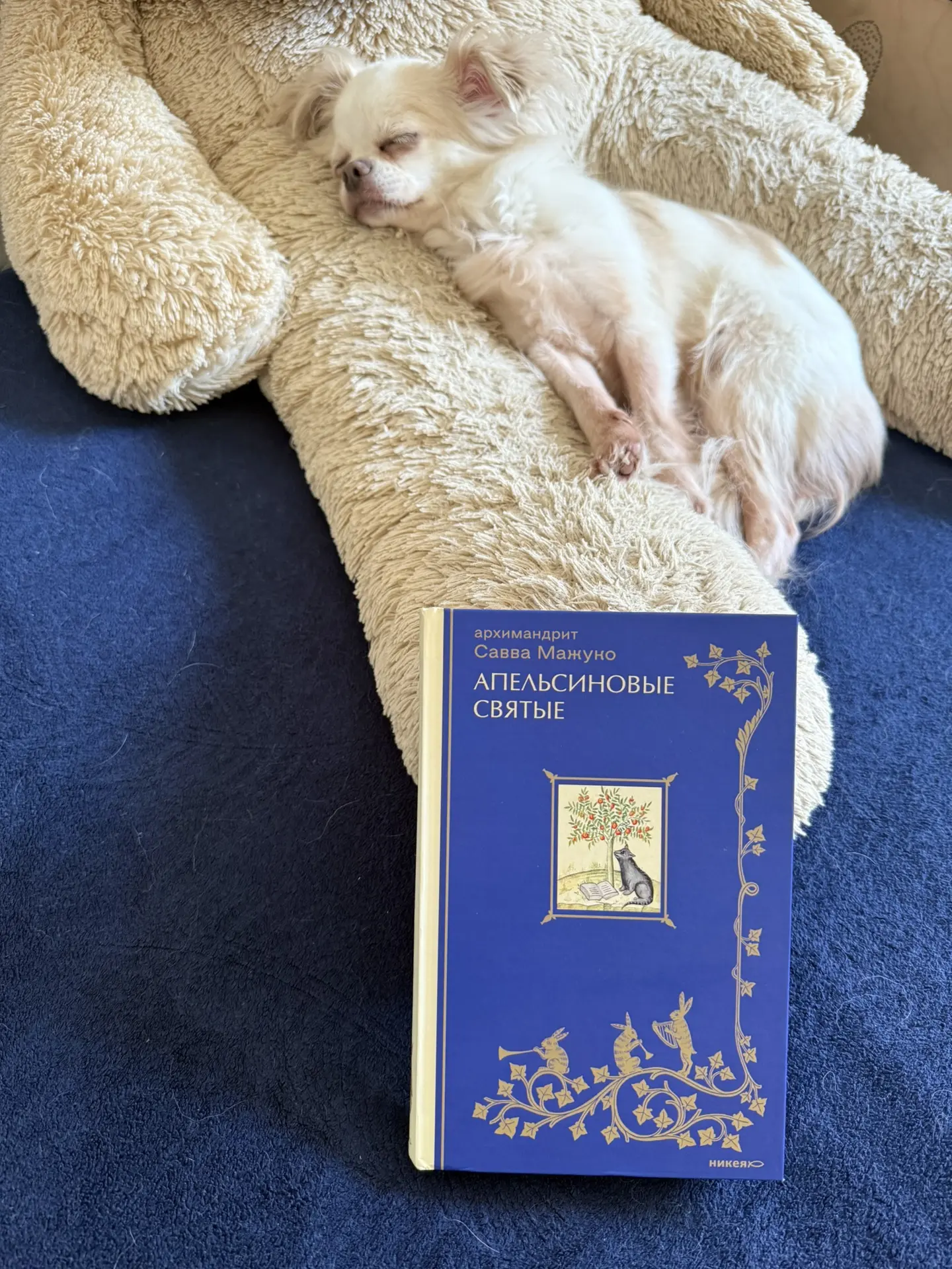 Давненько залежалась эта книга на полочке, пора было начать с ней знакомство, когда же это делать, е