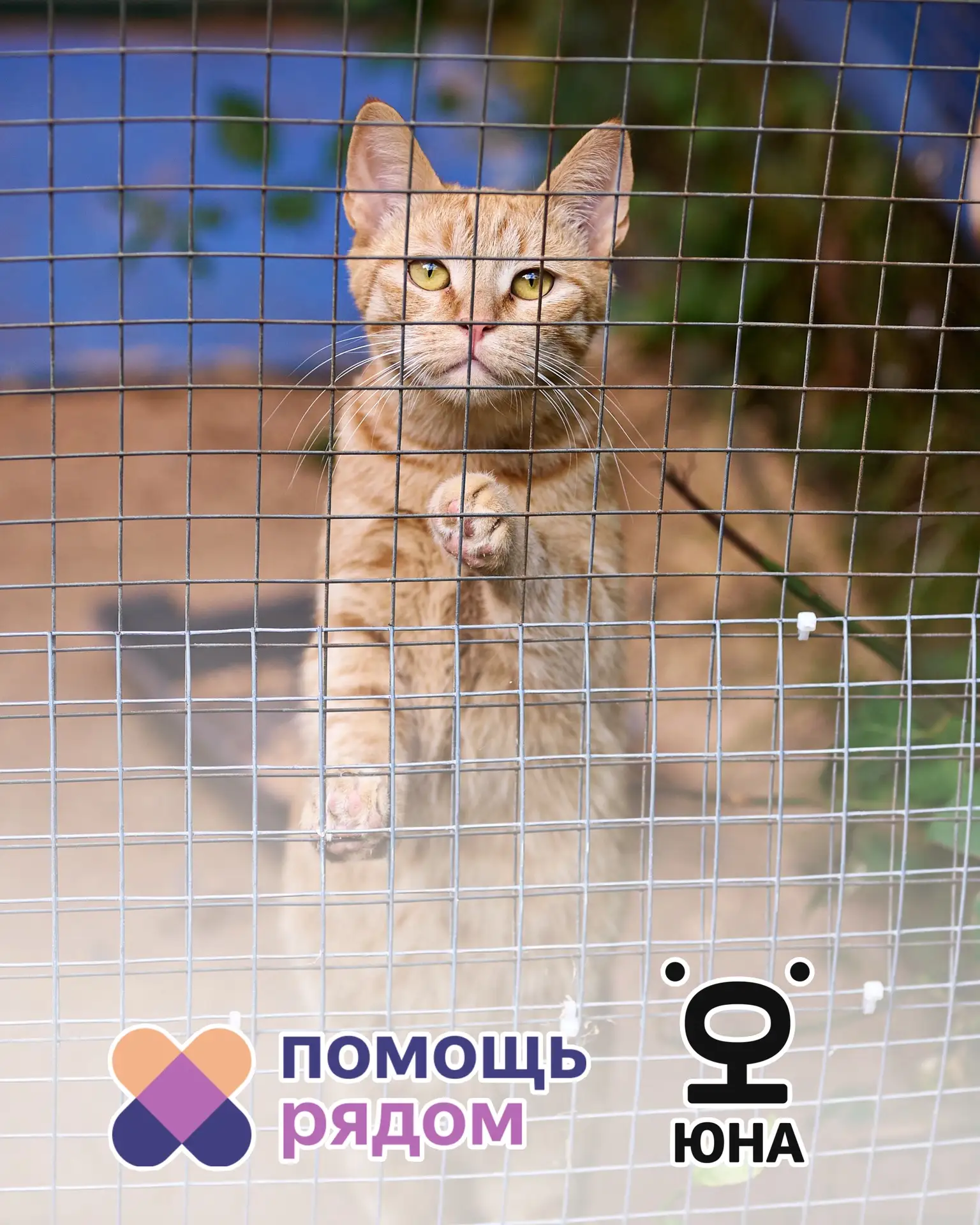 Отличные новости! Центр «Юна» теперь на платформе «Помощь рядом» 🩵