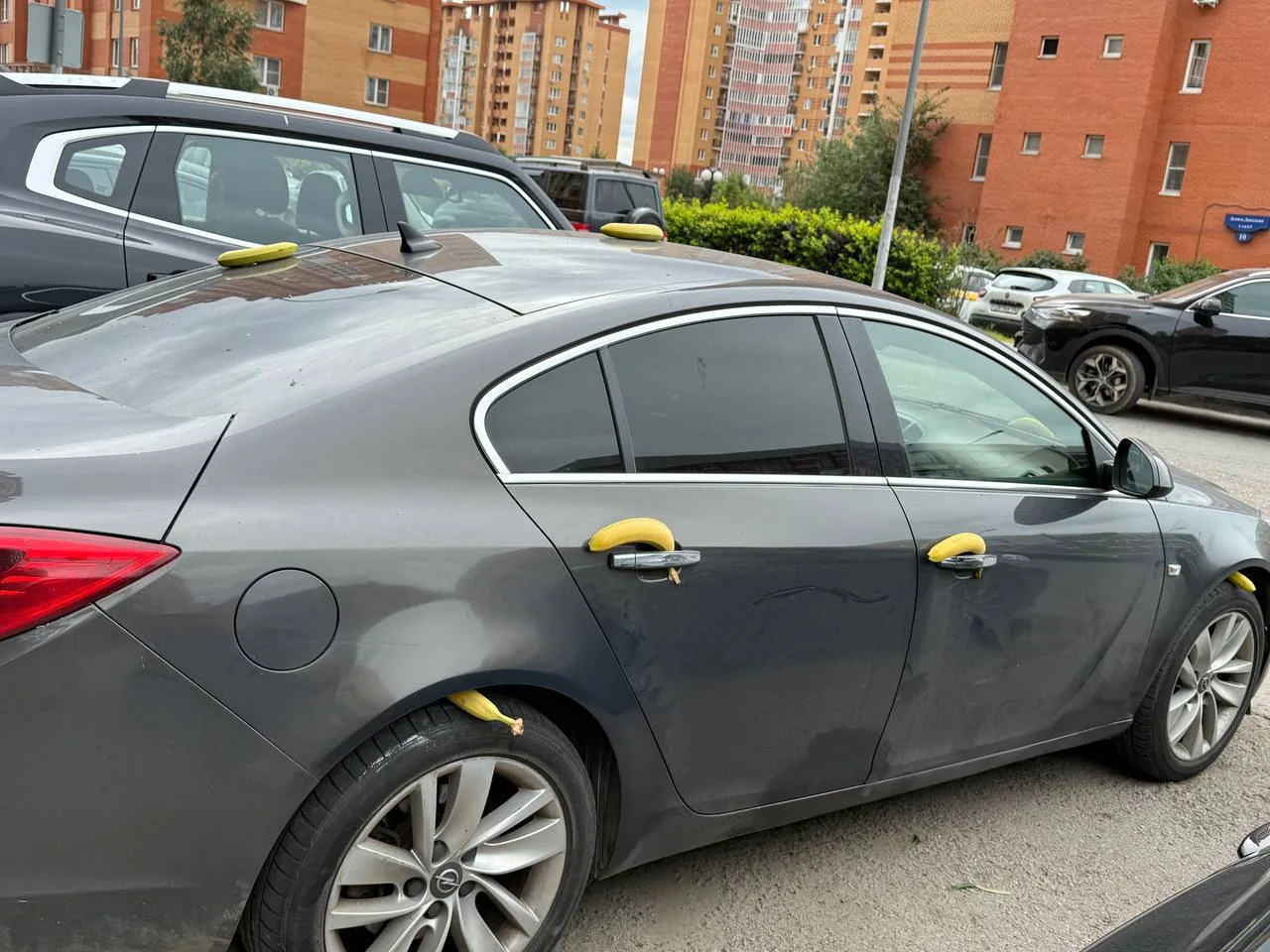 🍌 Банановое настроение устроили автовладельцу в ЖК «Гусарская баллада»

Остальные детали история ум