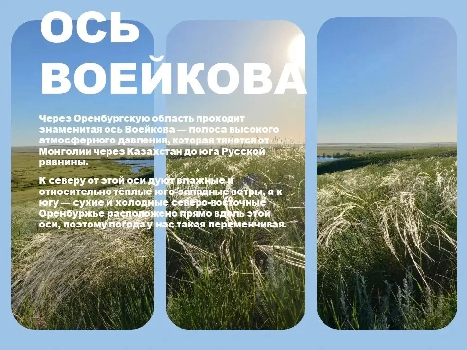 🌾 Доброе утро, Оренбуржье!