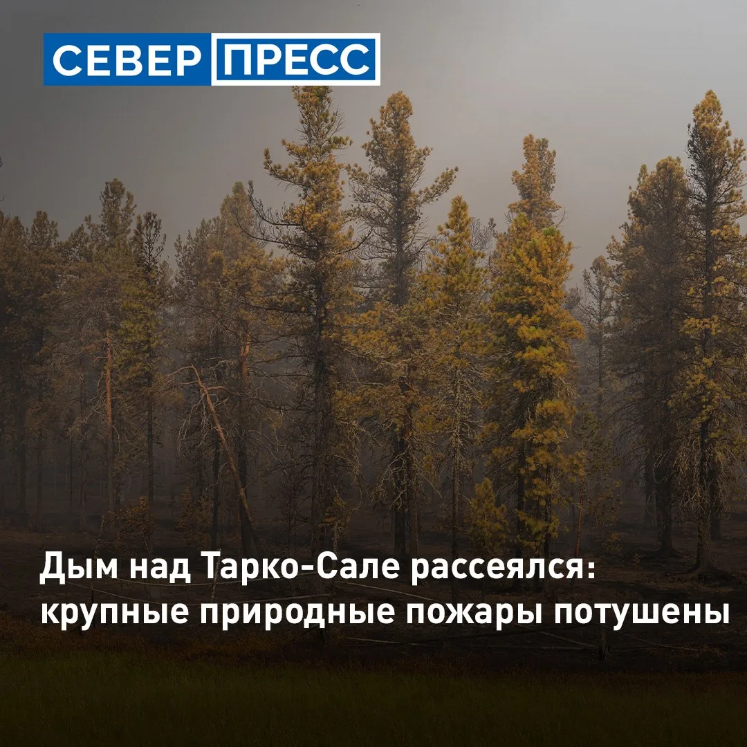 Пожары вблизи Тарко-Сале ликвидированы. Огонь тушили в двух километрах от города, в рай...