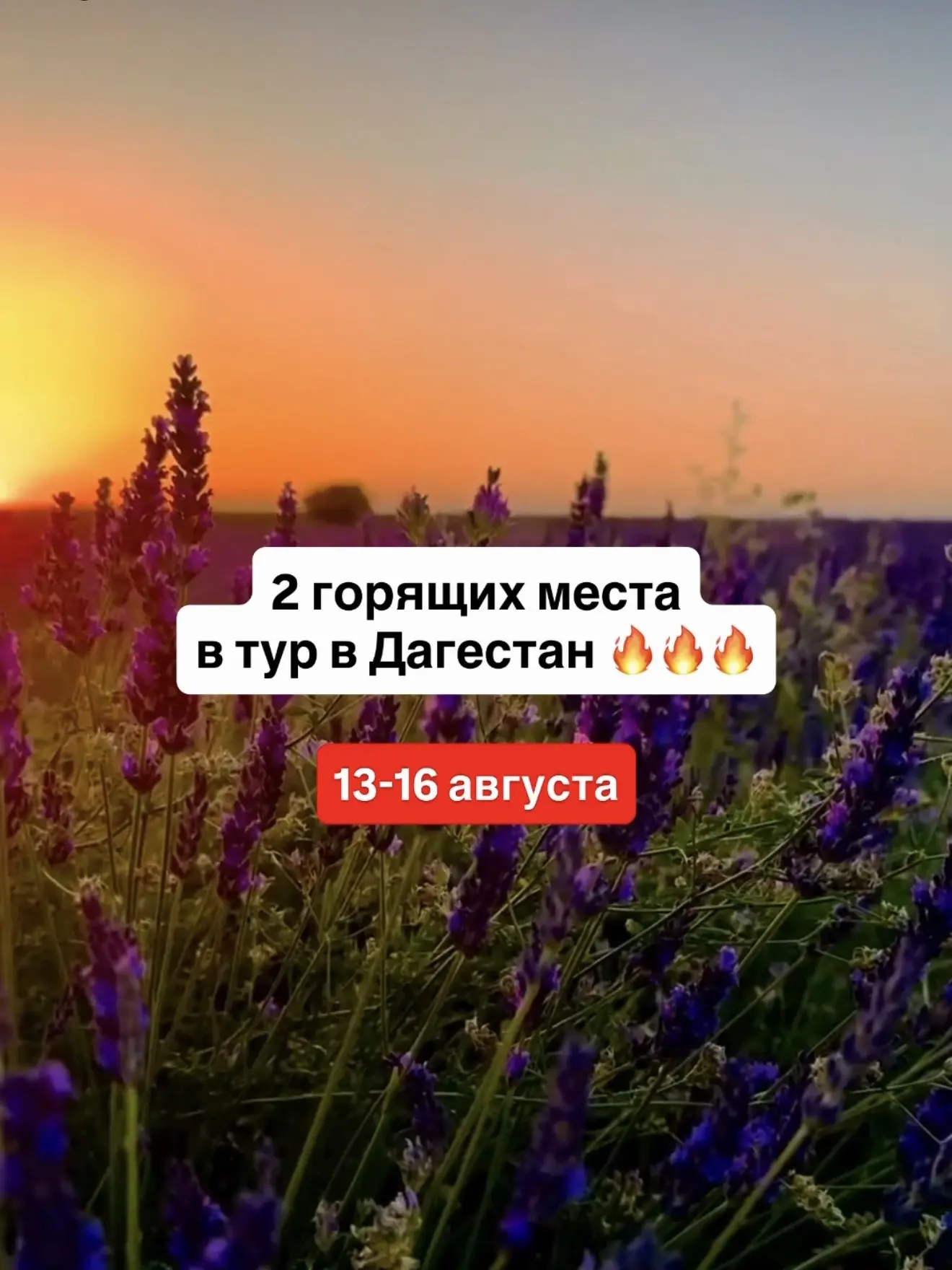 2 горящих места в Дагестан 13-16 августа🔥🔥