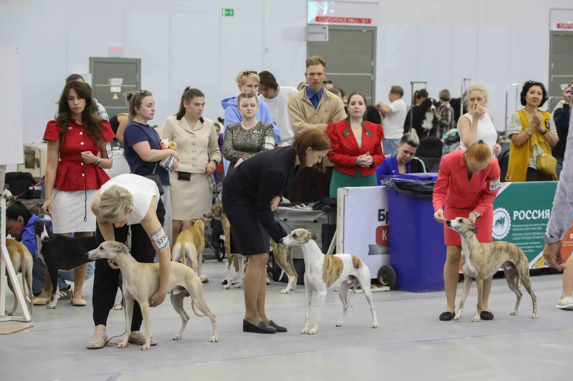 🐕‍🦺 Праздник собачьего обаяния в разгаре!

Первый день выставки собак всех пород «Россия 2026» про