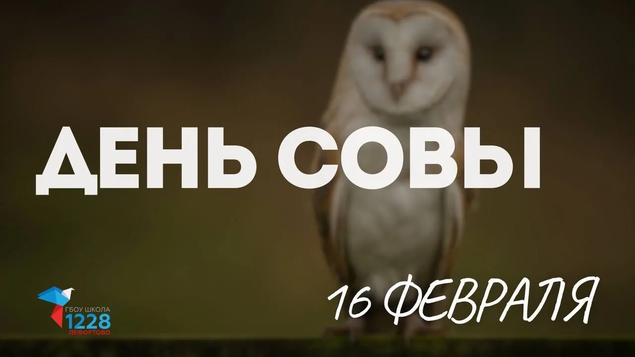 🦉 А знаете ли вы, почему сову называют символом мудрости?  16 февраля отмечается День совы, и в Изум