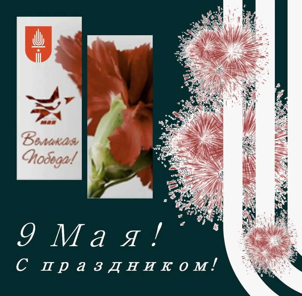 ... Но, словно огонь, у подножья — гвоздика.