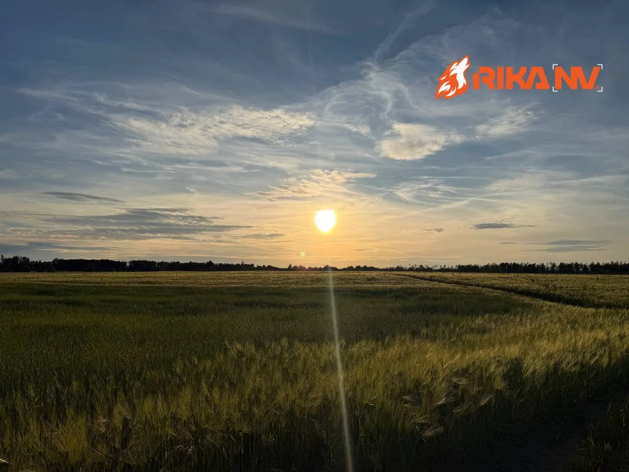 Пятница! Вечер!🌅