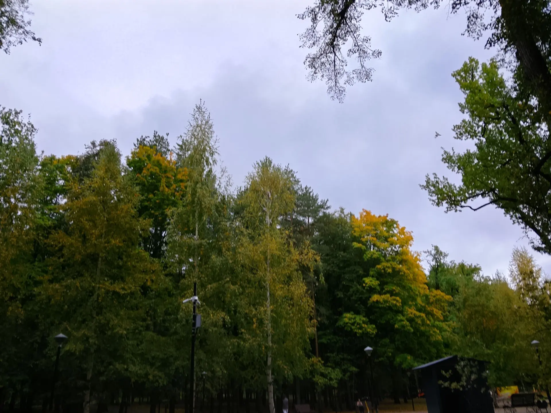 💥Яңа көн матур яңалыклар гына алып килсен, тормышыгызга иминлек, бәрәкәт, тыныч күк йө...
