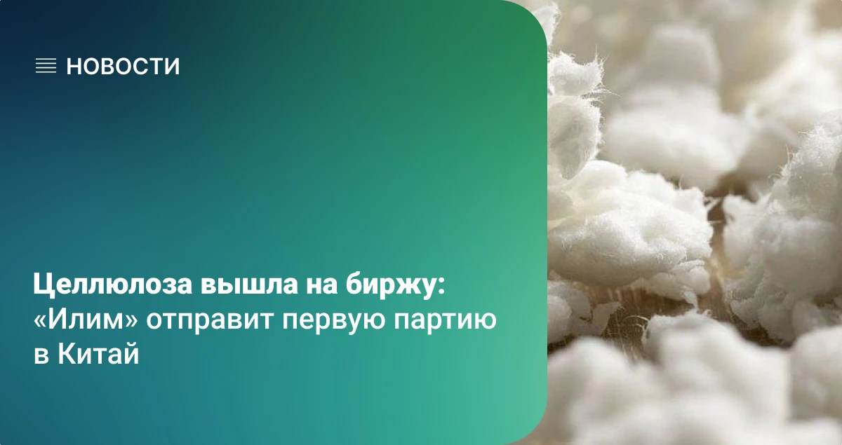Целлюлоза вышла на биржу: «Илим» отправит первую партию в Китай