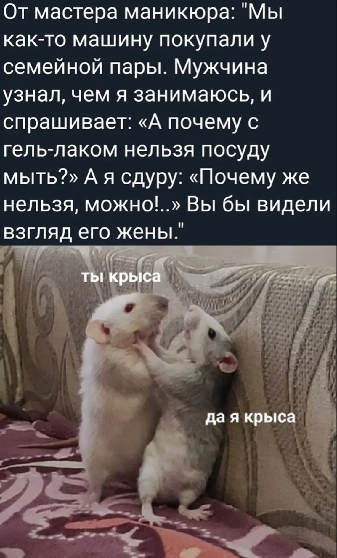 😑Это и называется «испепелить взглядом»…

🧂Соль | Юмор 👈 Не забудь подписаться👇
